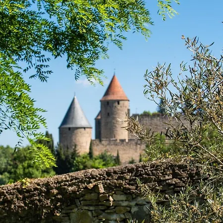 Villa Coeur De Vignes By L'Ecrin De La Cite, A 200 M De La Cite De Carcassonne