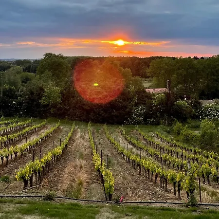 Ferienhaus L'ecrin De La Cite, Coeur De Vignes - Vivez Experience Inoubliable ! *