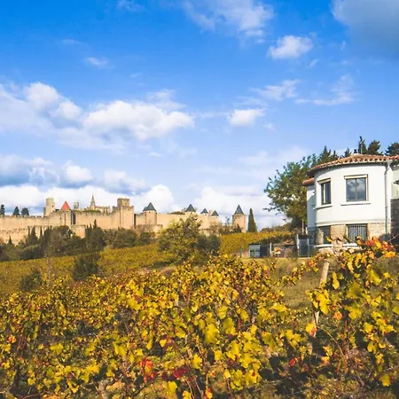 L'ecrin De La Cite, Coeur De Vignes - Vivez Experience Inoubliable ! *