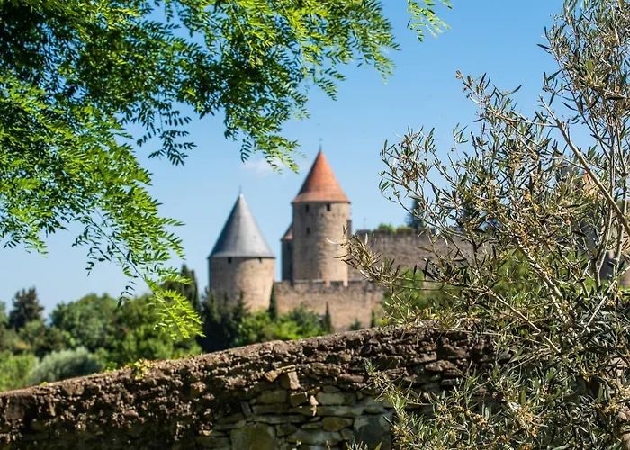 L'ecrin De La Cite, Coeur De Vignes - Vivez Experience Inoubliable !